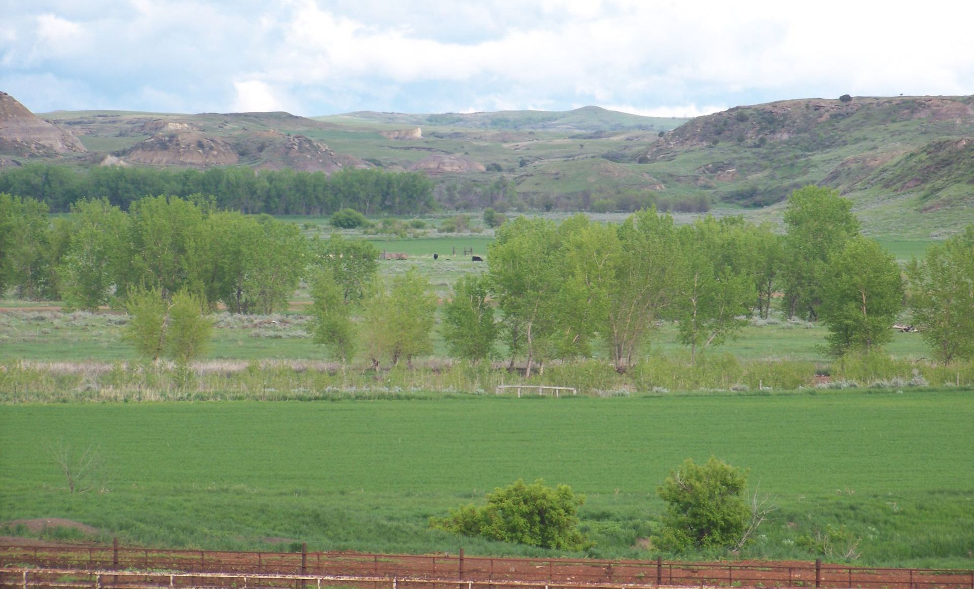 farm pasture surrounded by rolling hills and blue sky