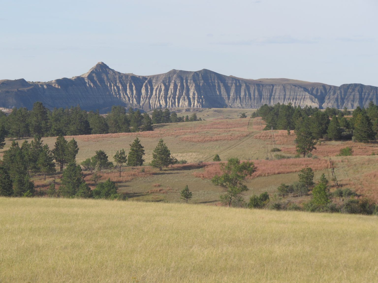 A field with mountains in the background and trees in the foreground