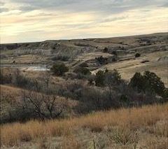 A view of a dry grassy hillside with trees and a river in the background.