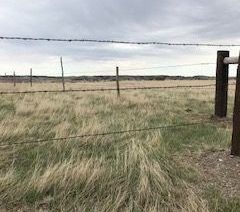 A barbed wire fence surrounds a grassy field.