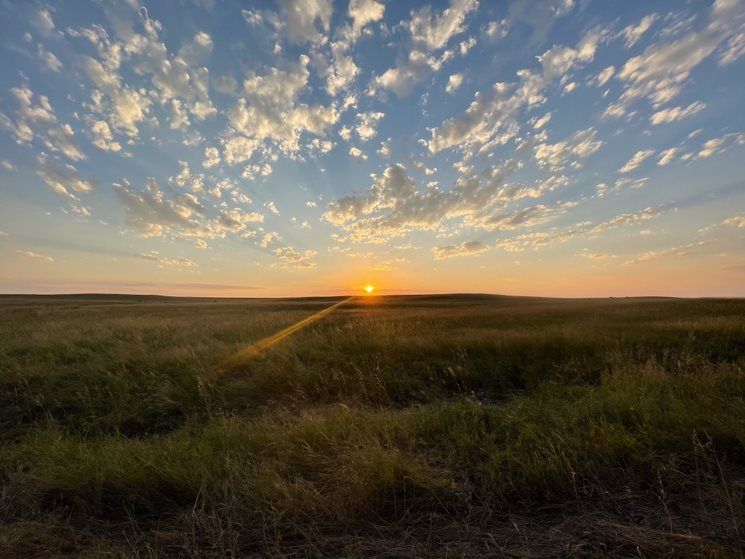 The sun is setting over a grassy field with clouds in the sky.
