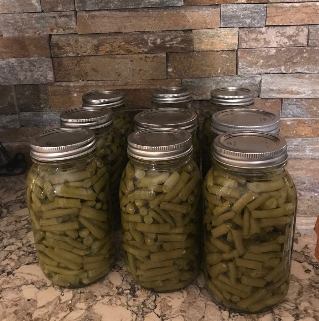 Several jars of green beans are sitting on a counter.