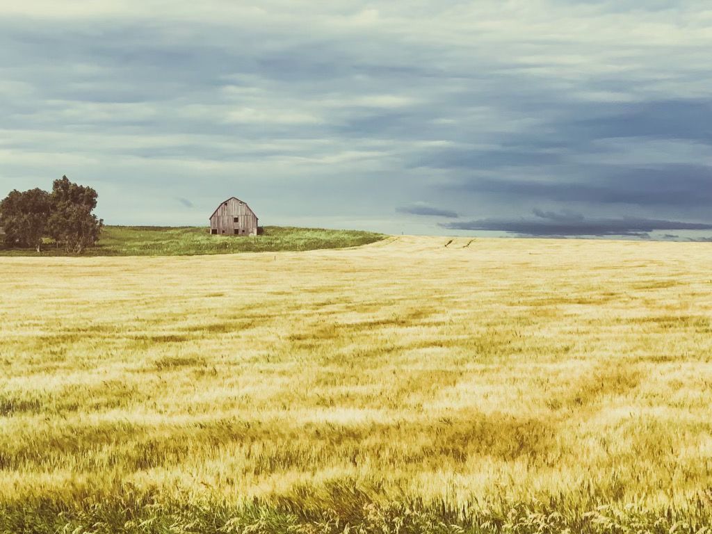 A barn sits on top of a hill in the middle of a field