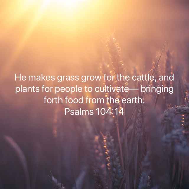 He makes grass grow for the cattle and plants for people to cultivate bringing forth food from the earth.