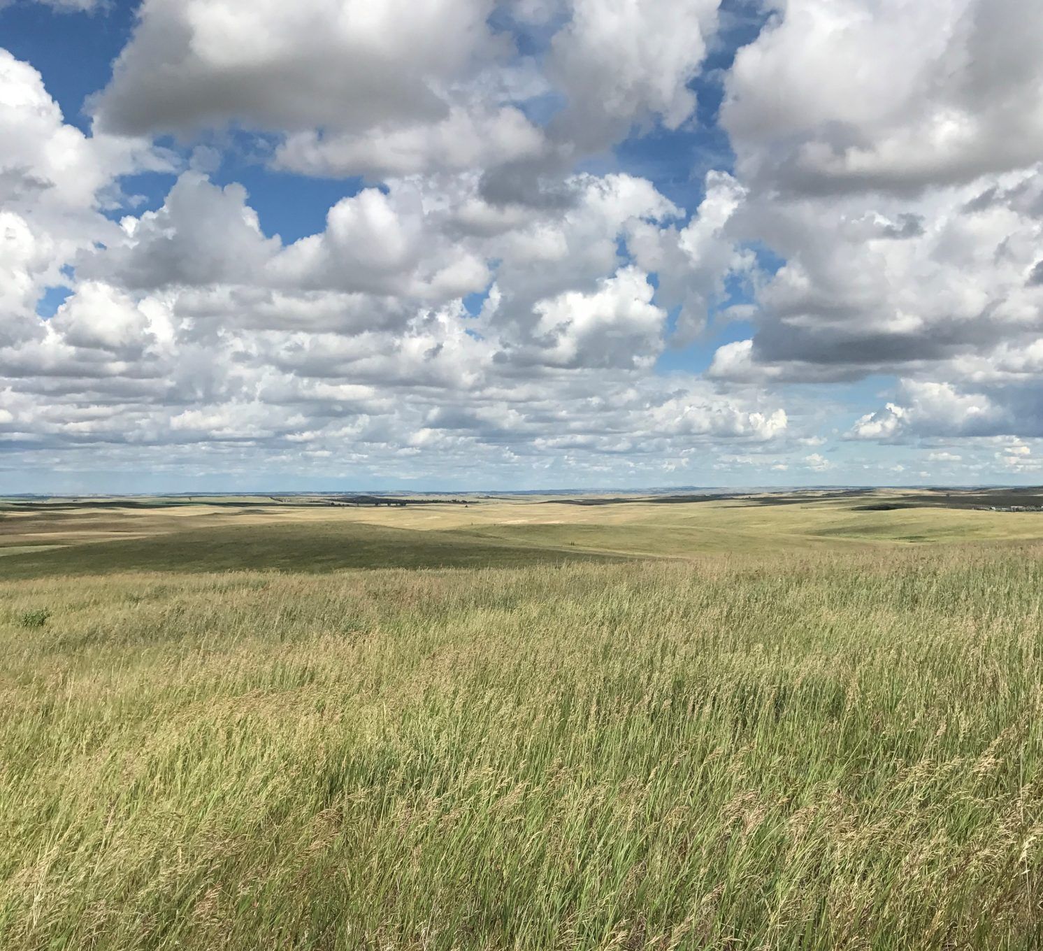 A large grassy field with a cloudy sky in the background