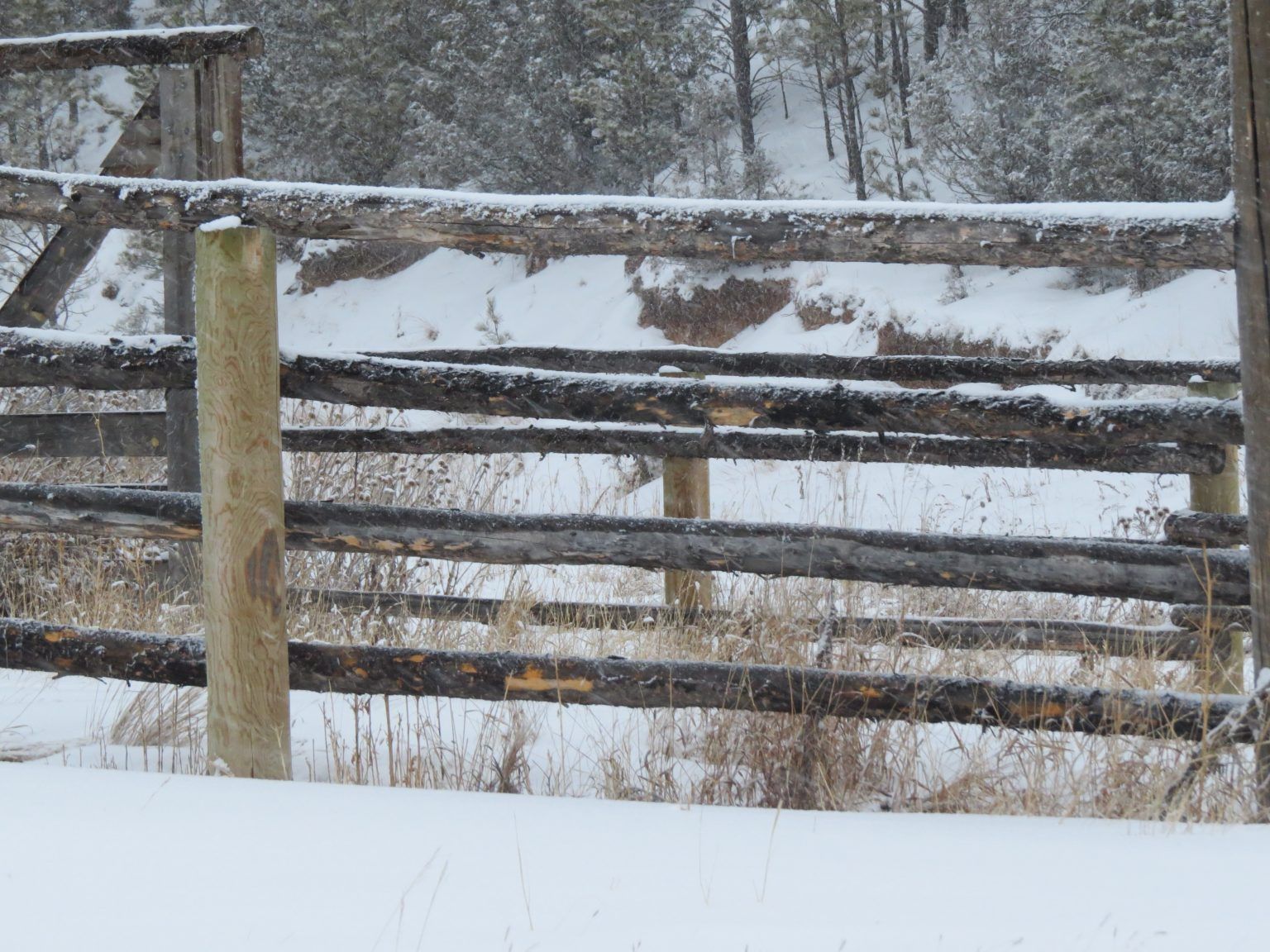 Snow is falling on a wooden fence in the woods