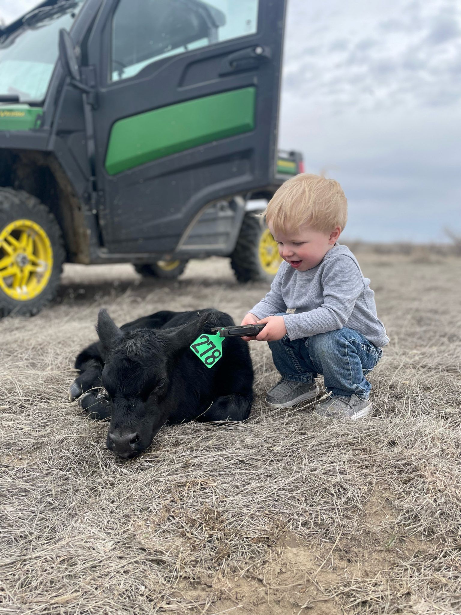 A little boy is kneeling next to a baby cow in a field.