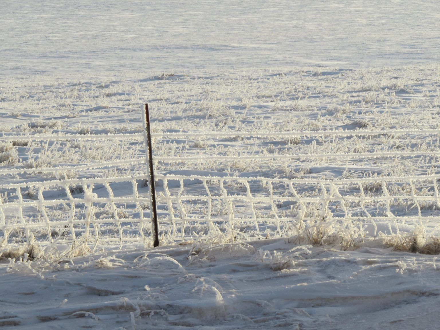 A snowy field with a fence in the foreground