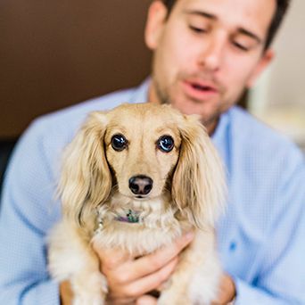 A man is holding a small dog in his arms.