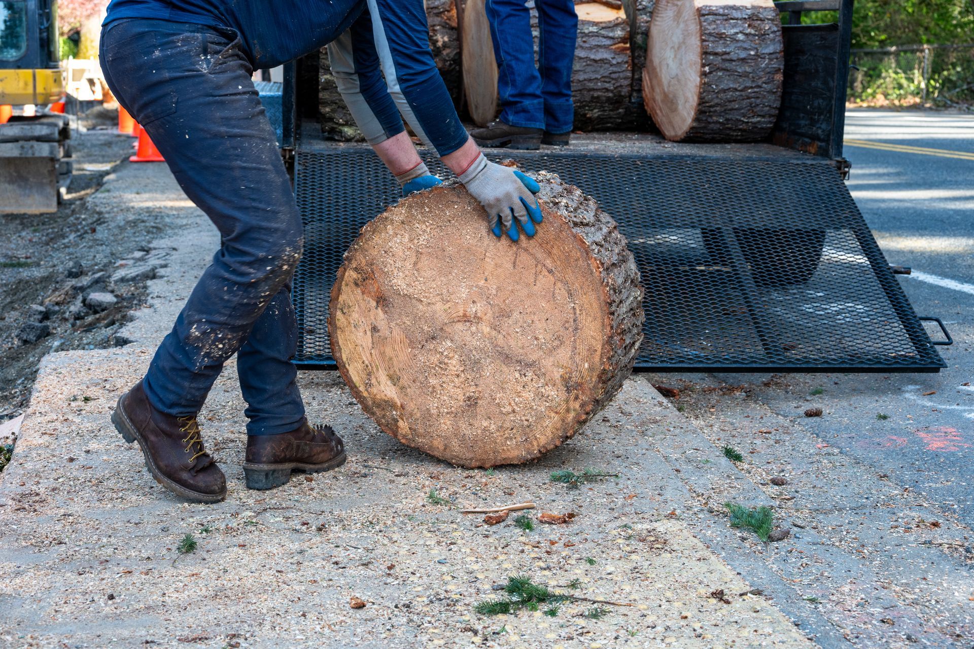A worker wearing work gloves maneuvers a large, round wooden log onto the back of a trailer filled with other logs.