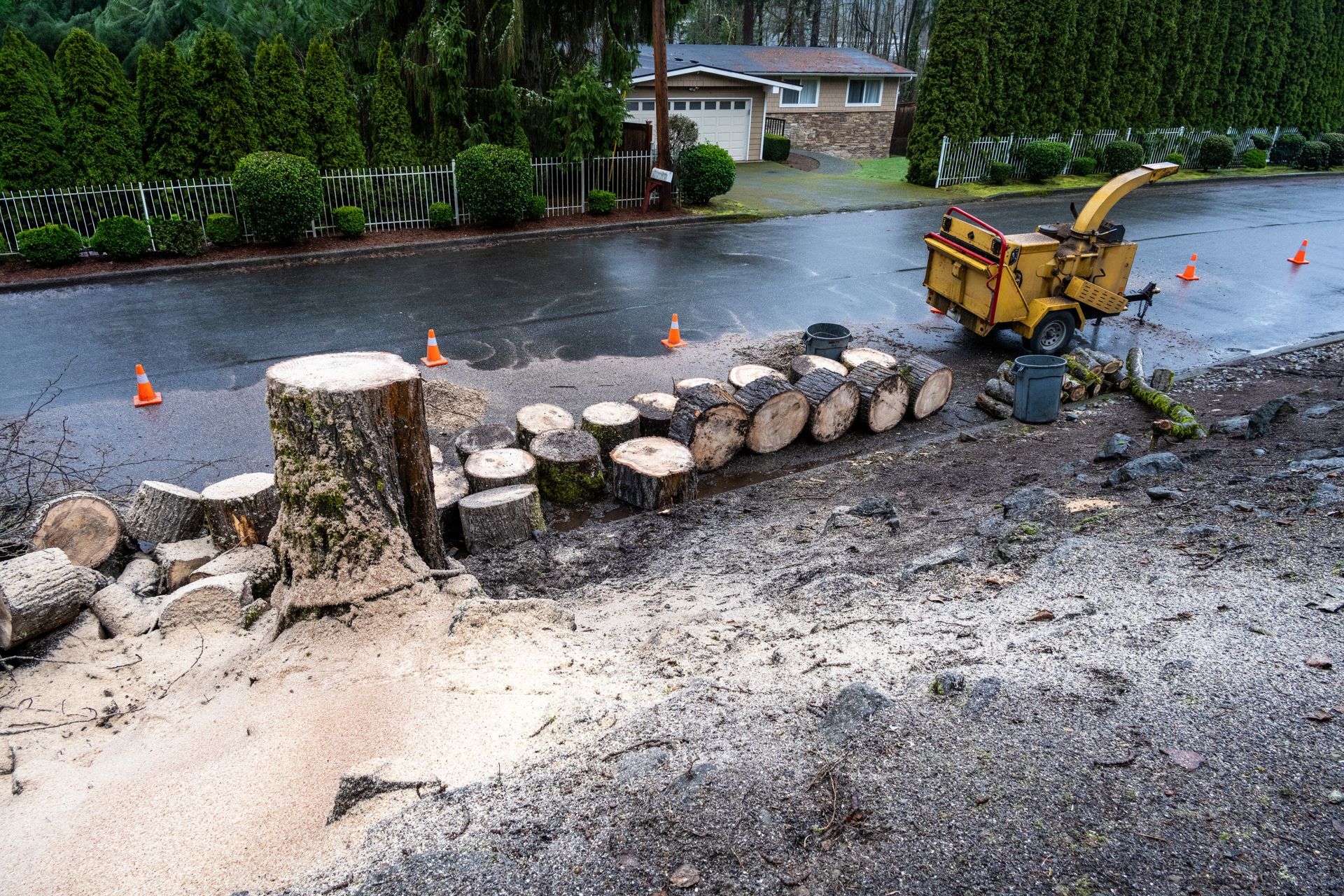 A tree stump and stacked log sections near a yellow wood chipper on an asphalt road in a residential neighborhood.