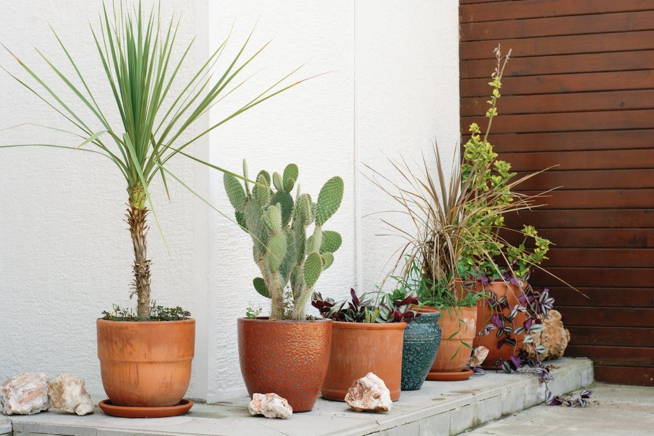 Garden Pots and Planters cleaner