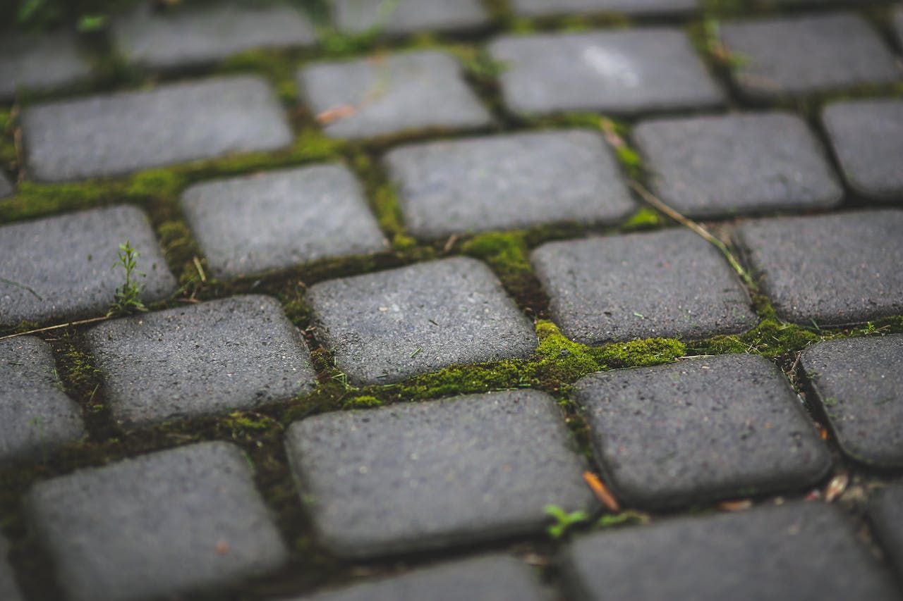 Patio Pavers and Stone cleaner