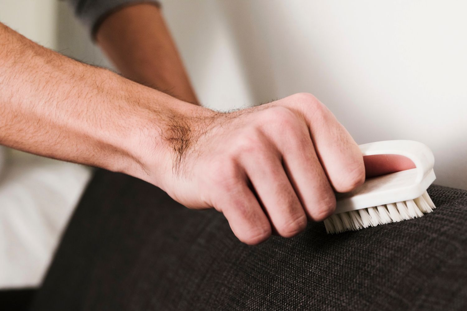 Upholstery and Sofa Spot Cleaning