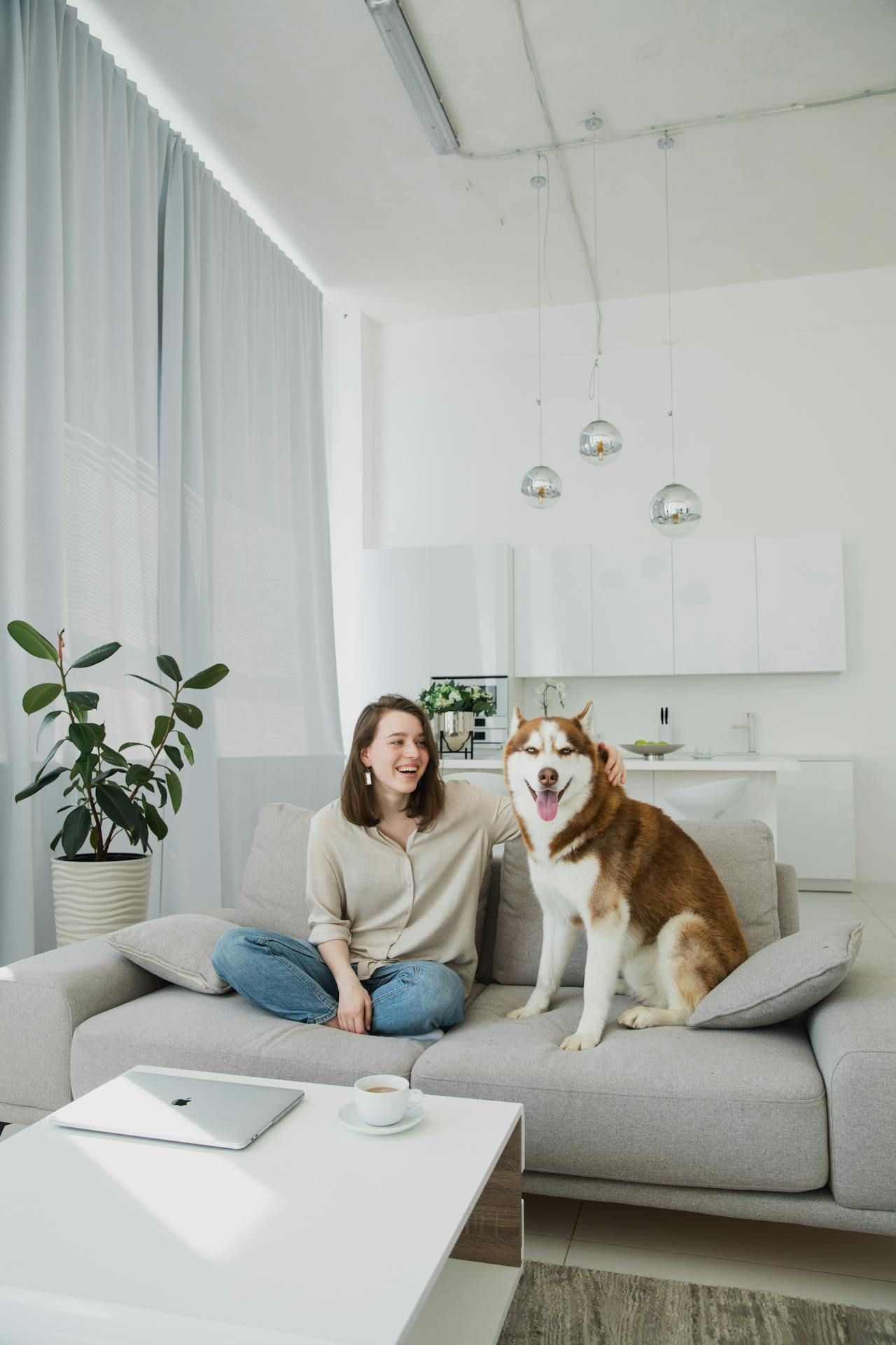 best Pet Cleaner