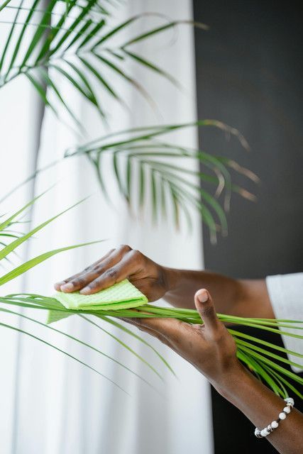 Eco-friendly cleaning