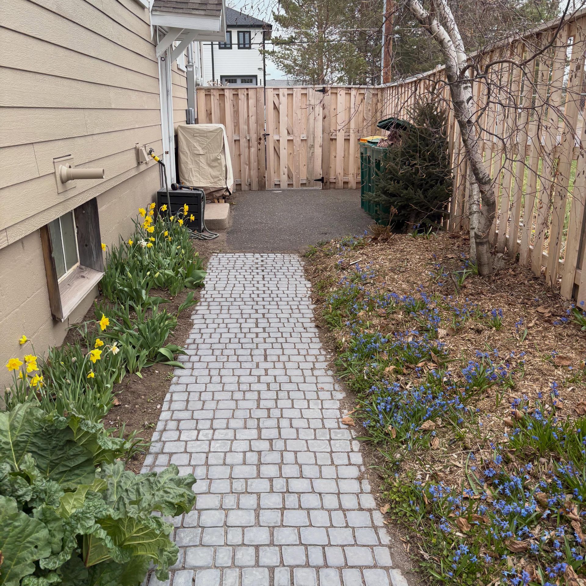 Narrow paver path beside a house, with yellow flowers, a fence, and a small backyard gate.