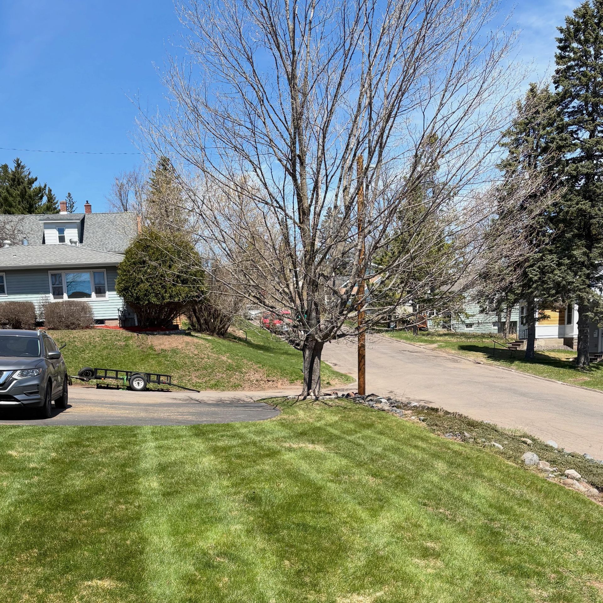 Suburban front yard with a leafless tree, green lawn, parked car, and houses along a quiet street
