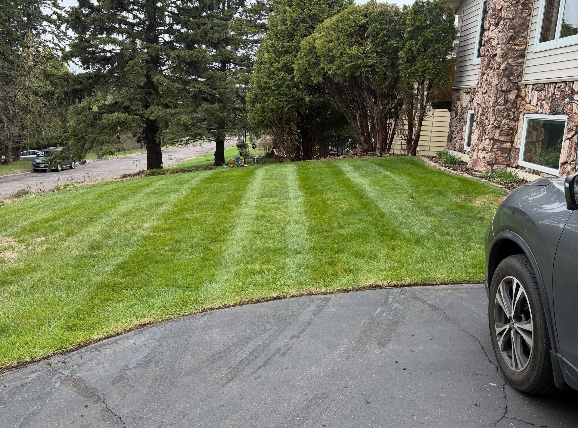 Freshly striped green lawn beside a curved driveway with trees and a parked car