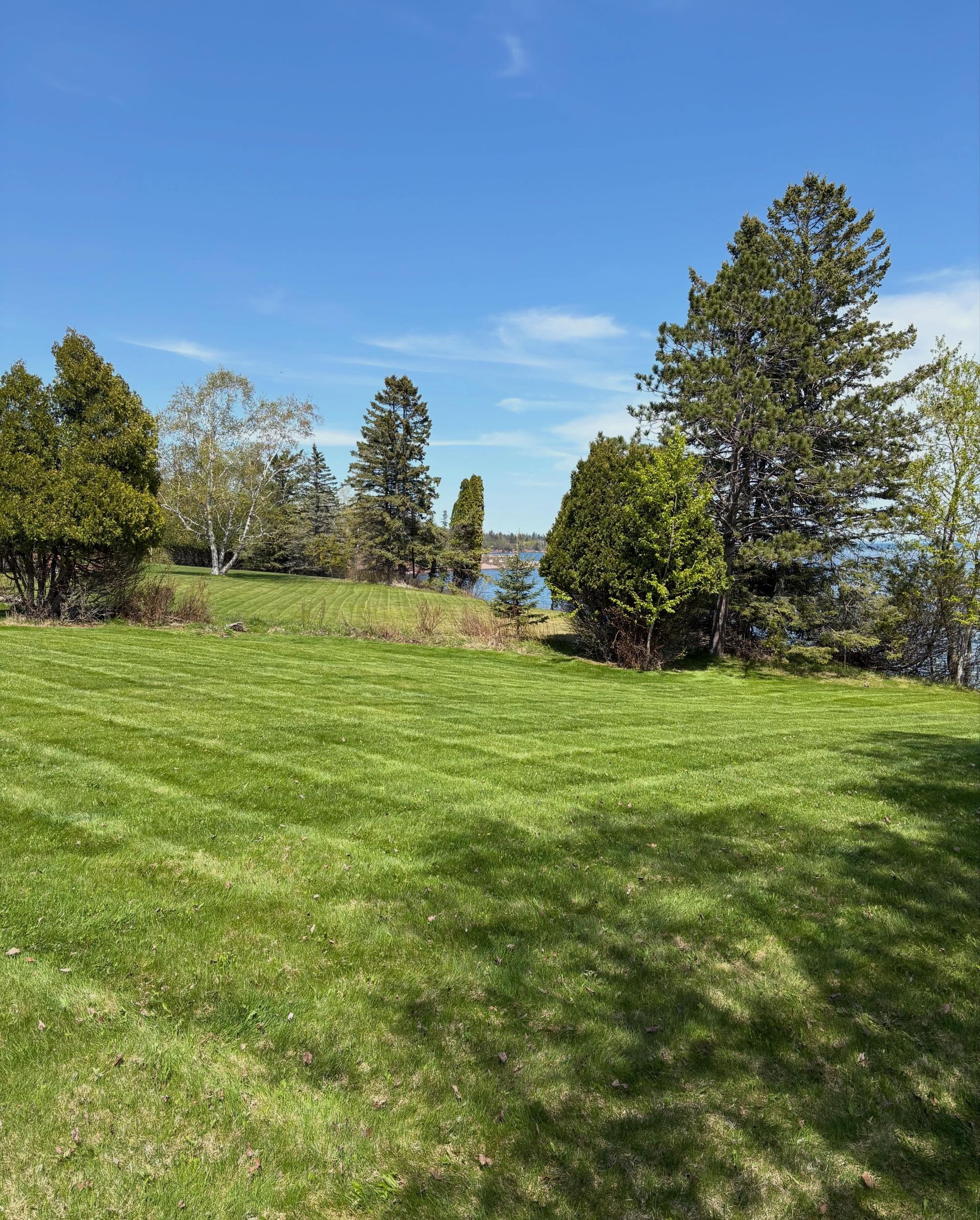 Grassy park with trees under a clear blue sky, with water visible in the distance.