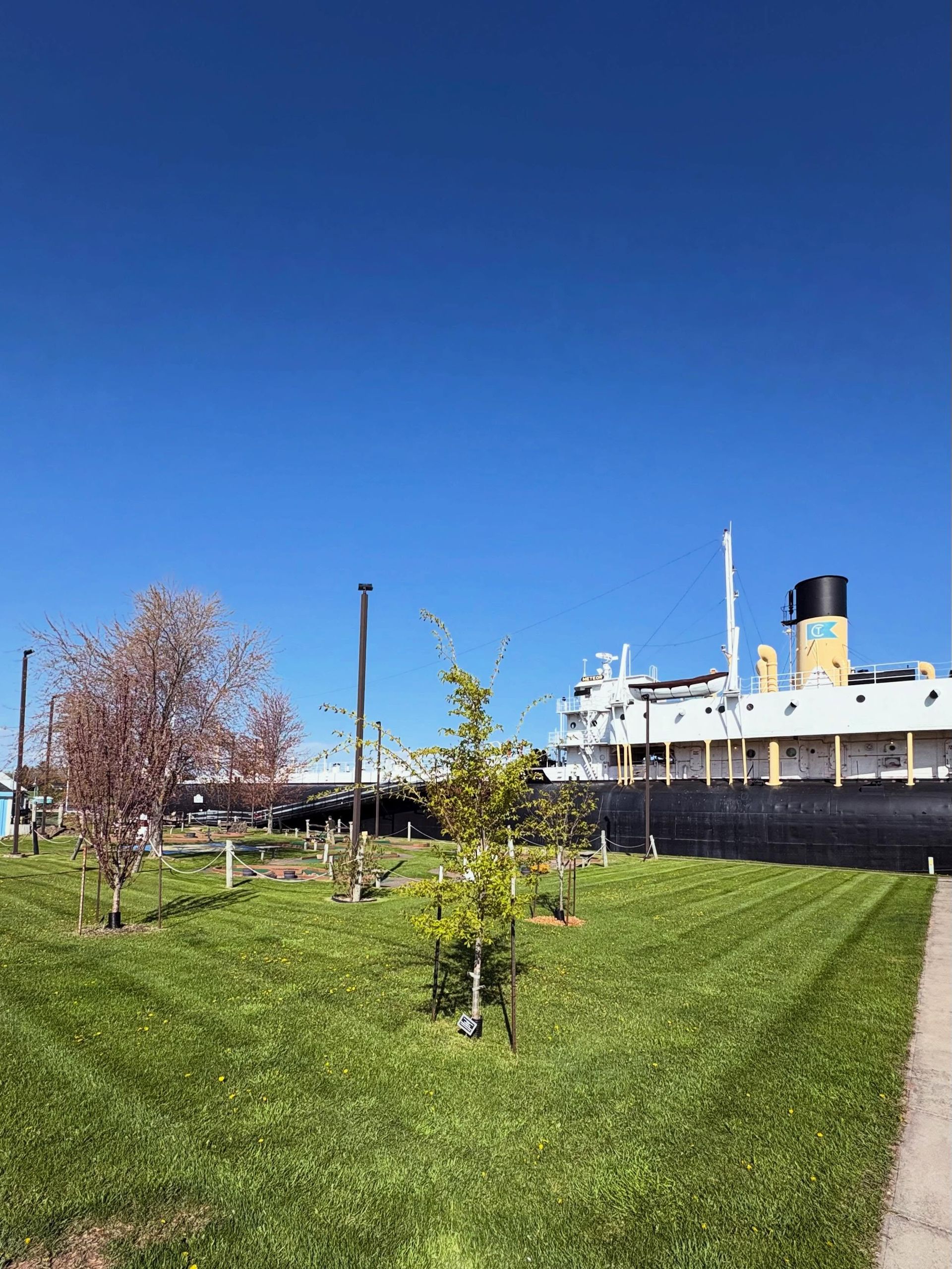 Grassy park with young trees beside a docked white ship under a clear blue sky