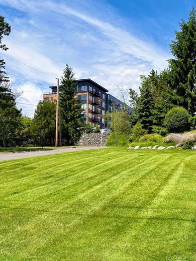 Sunny green lawn beside apartment buildings and trees under a blue sky