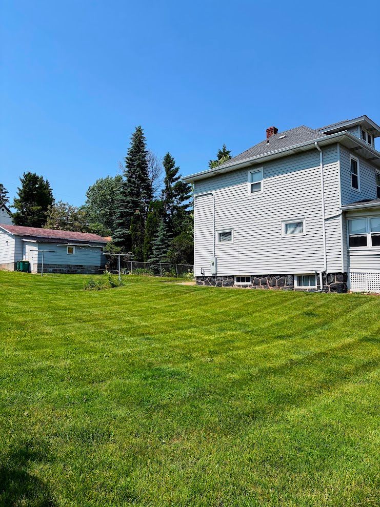 Grassy yard with a white house, small red-roofed outbuilding, evergreen trees, and a clear blue sky.