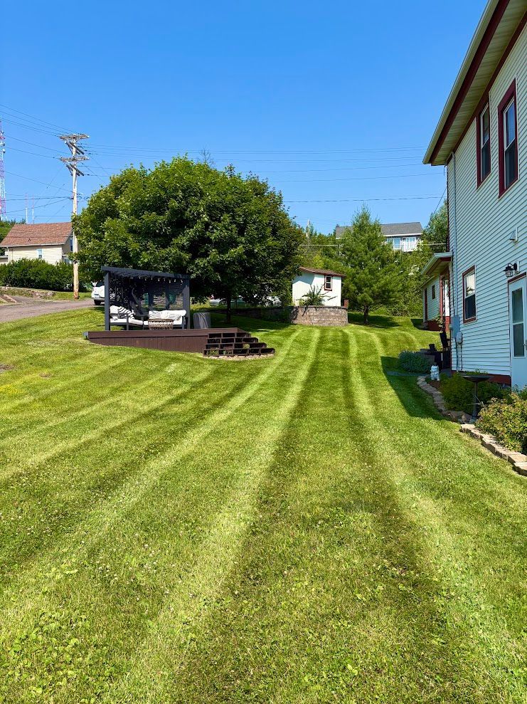 Sunlit backyard with mowed grass, wooden deck, large tree, and house on the right