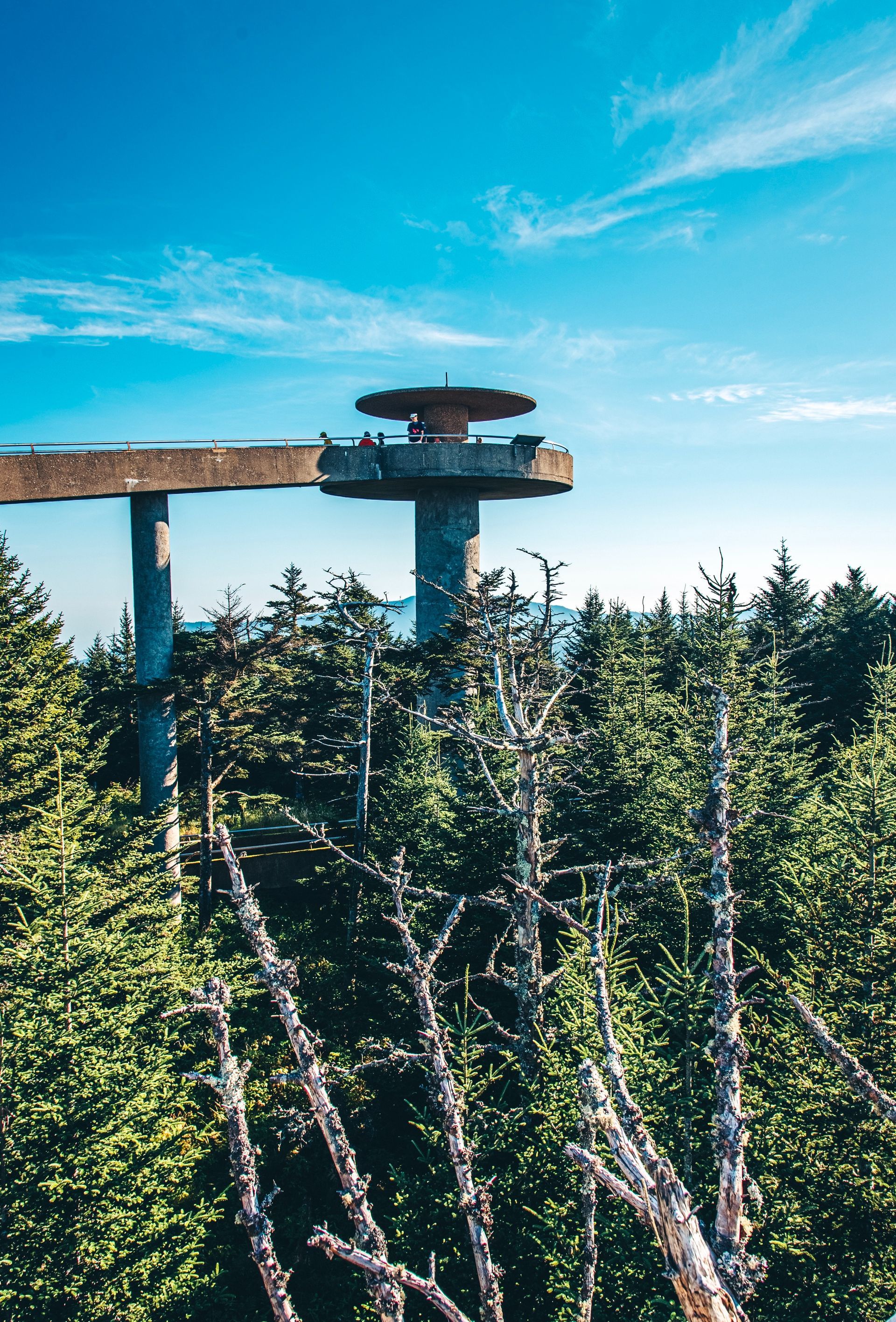 Observation tower atop a forest, under a blue sky.  Concrete columns support a circular structure.