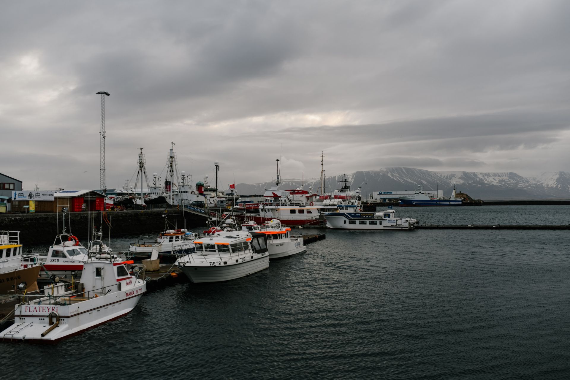 Boats docked in harbor under cloudy sky, mountains in background.