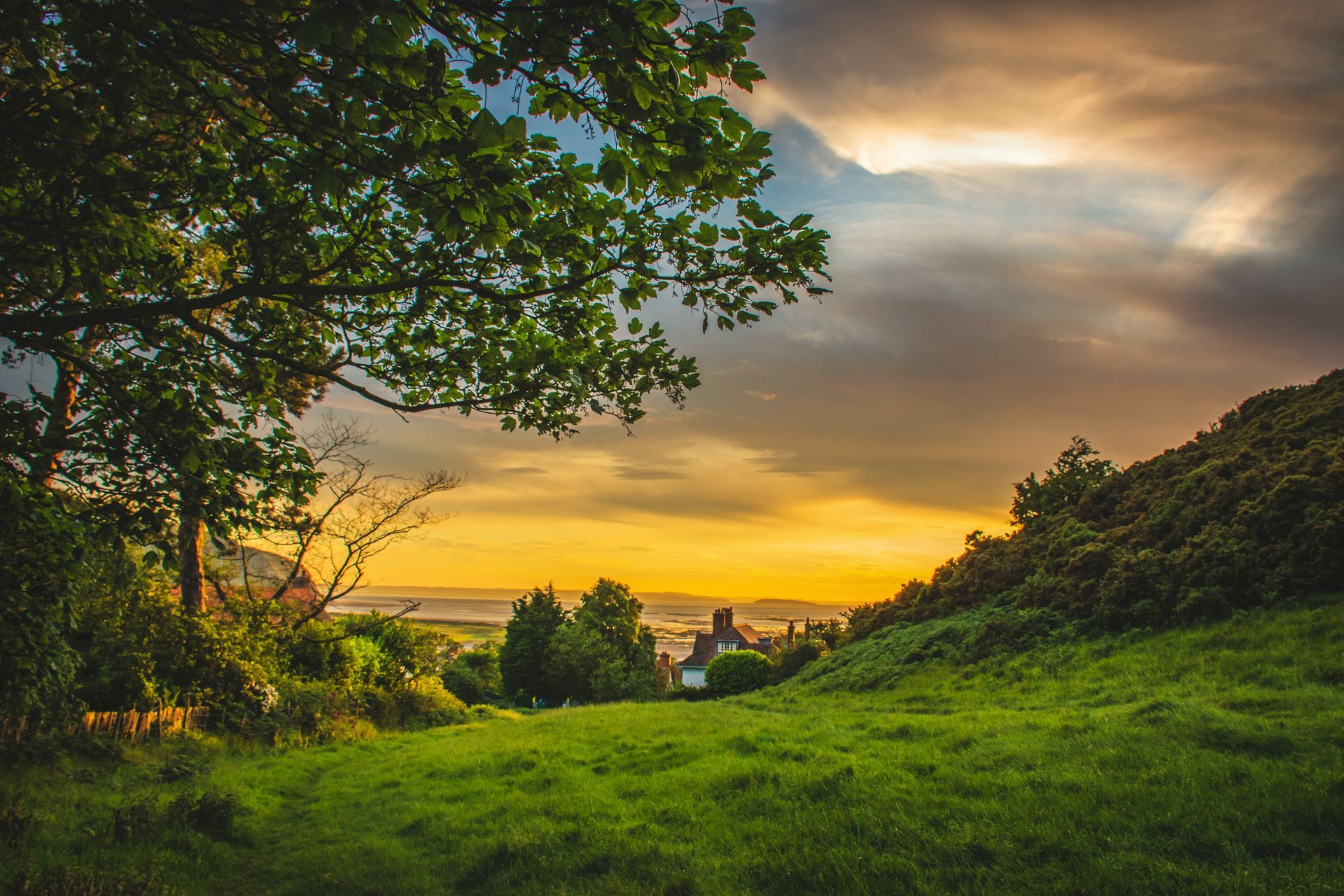 Green field at sunset with trees and cloudy sky.