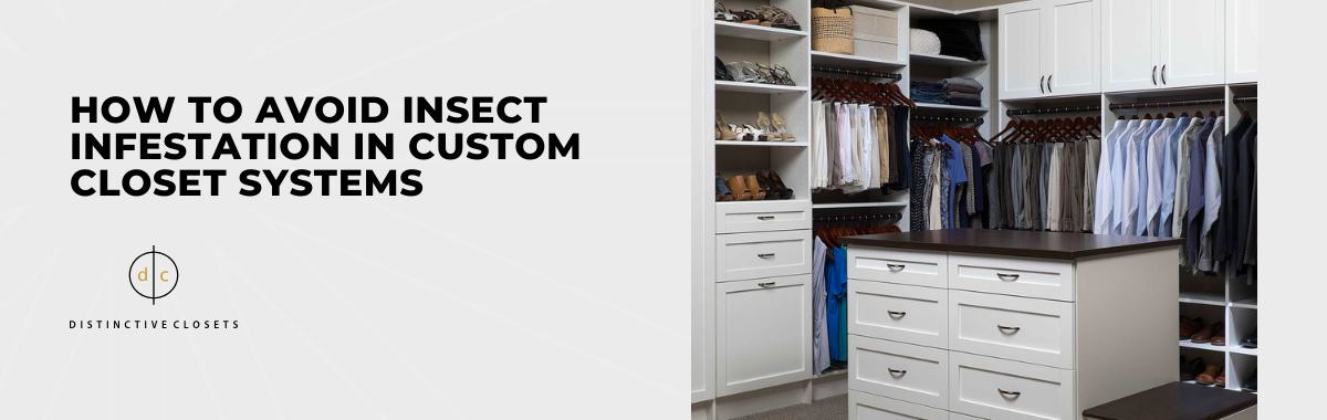 How to Avoid Insect Infestation in Custom Closet Systems