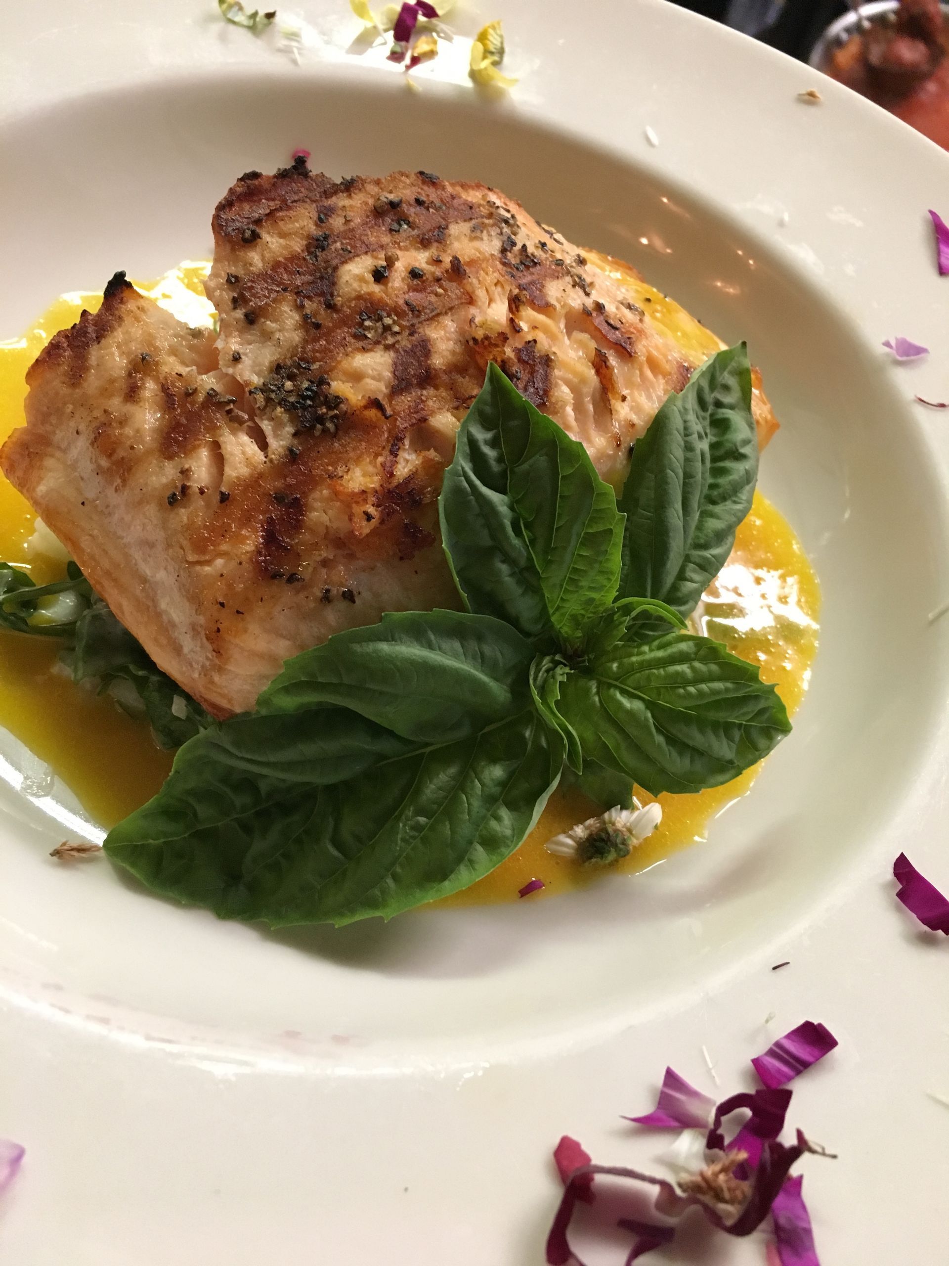 Grilled Salmon