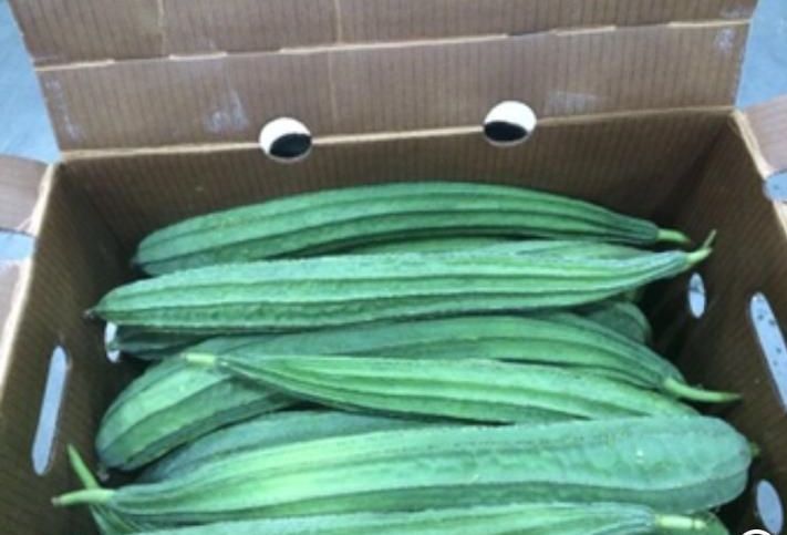 Box of green ridged gourds with googly eyes on top.