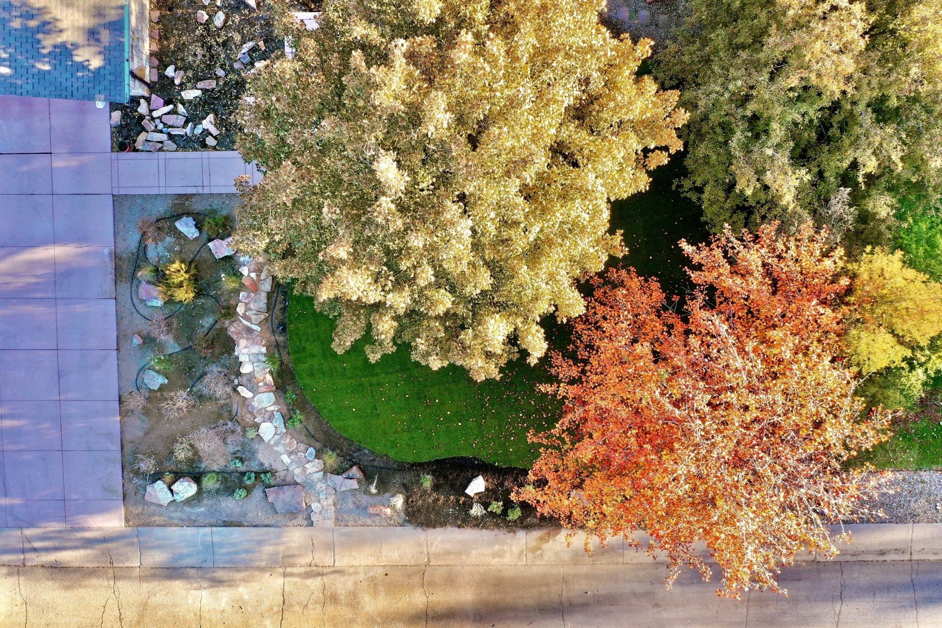Overhead view of trees with fall foliage in a landscaped yard next to a sidewalk and street.