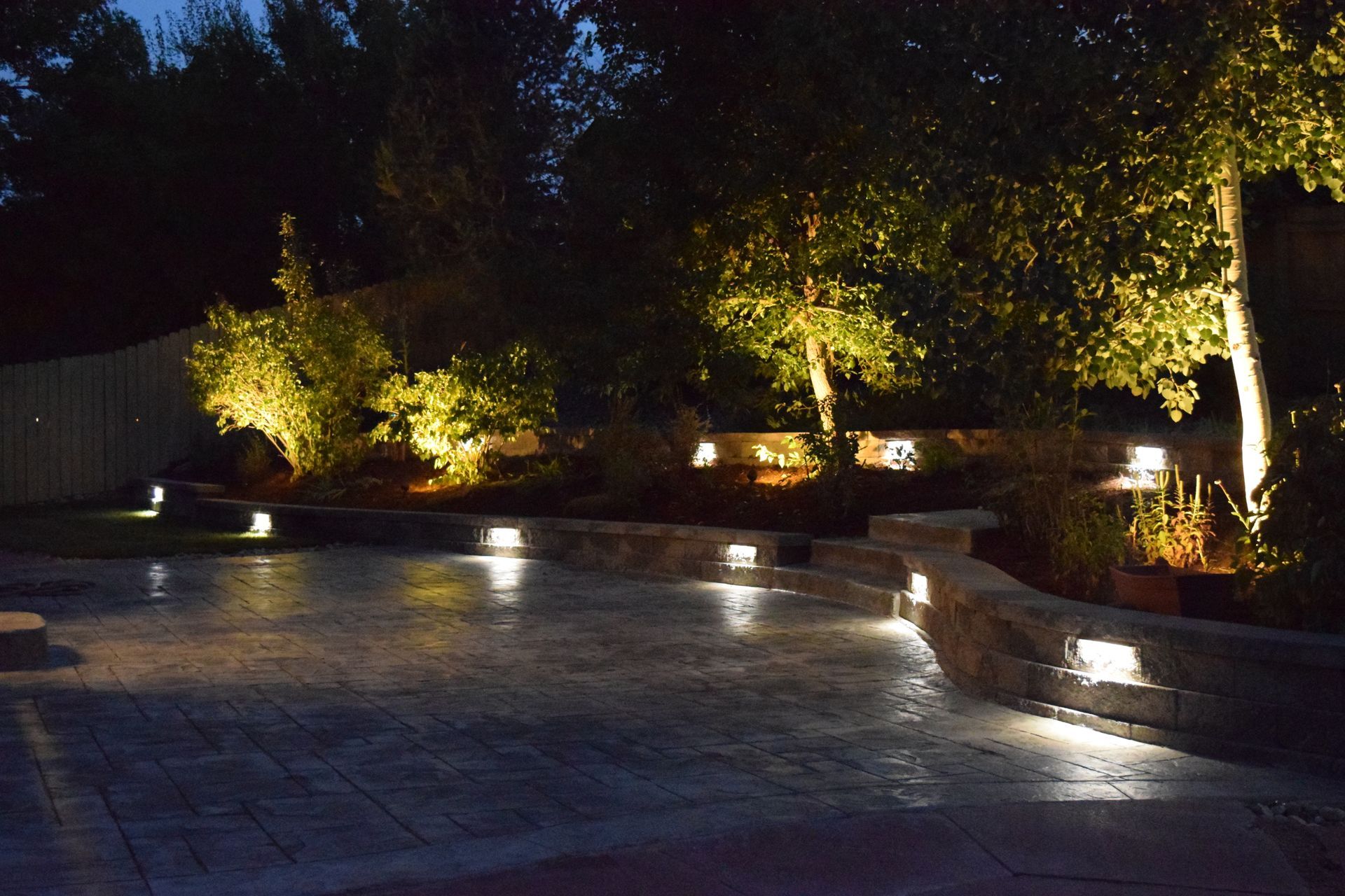 Nighttime outdoor scene with lit trees and embedded pathway lights.