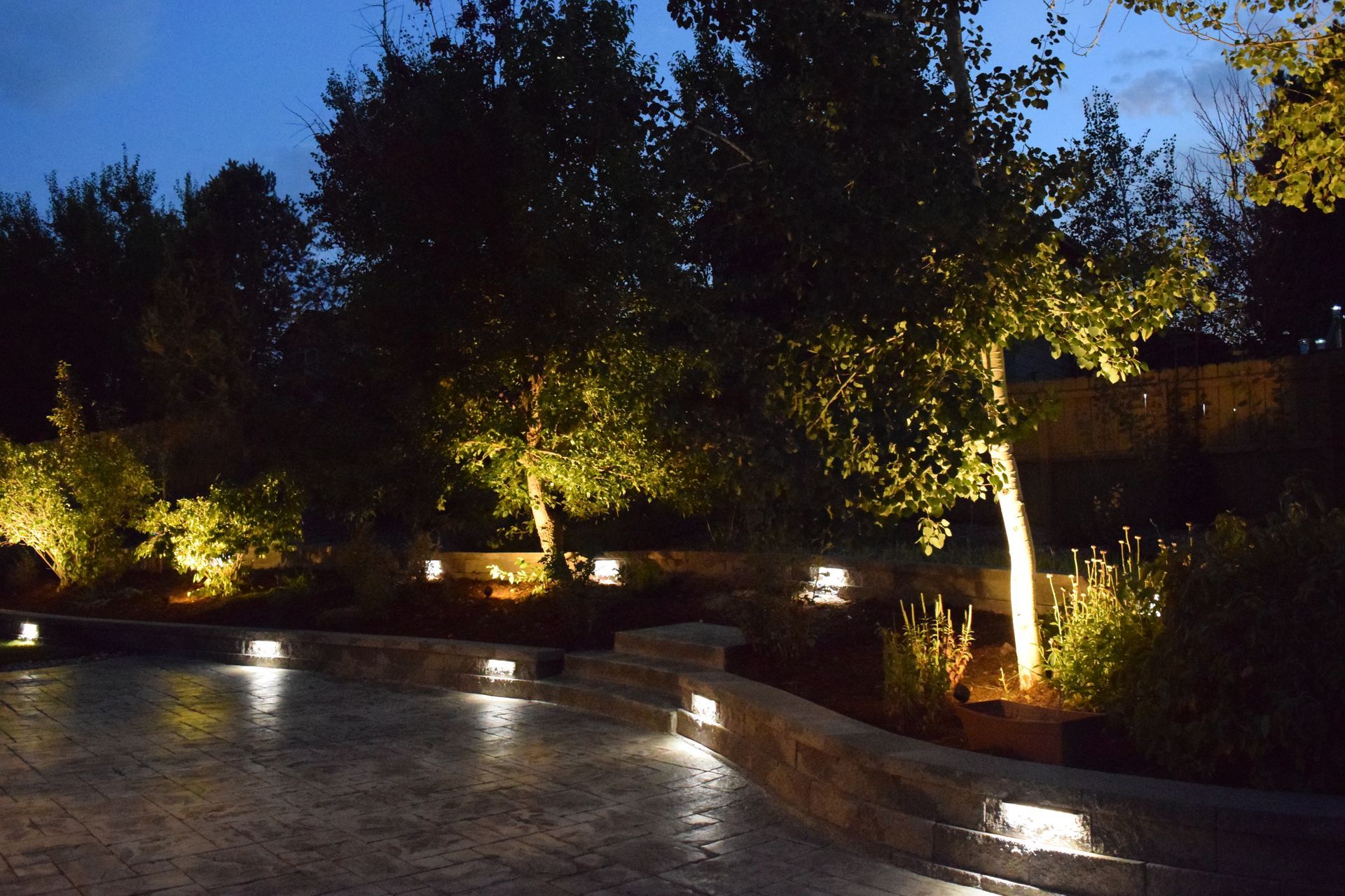 Nighttime outdoor scene with lit trees and ground lights illuminating a stone patio.
