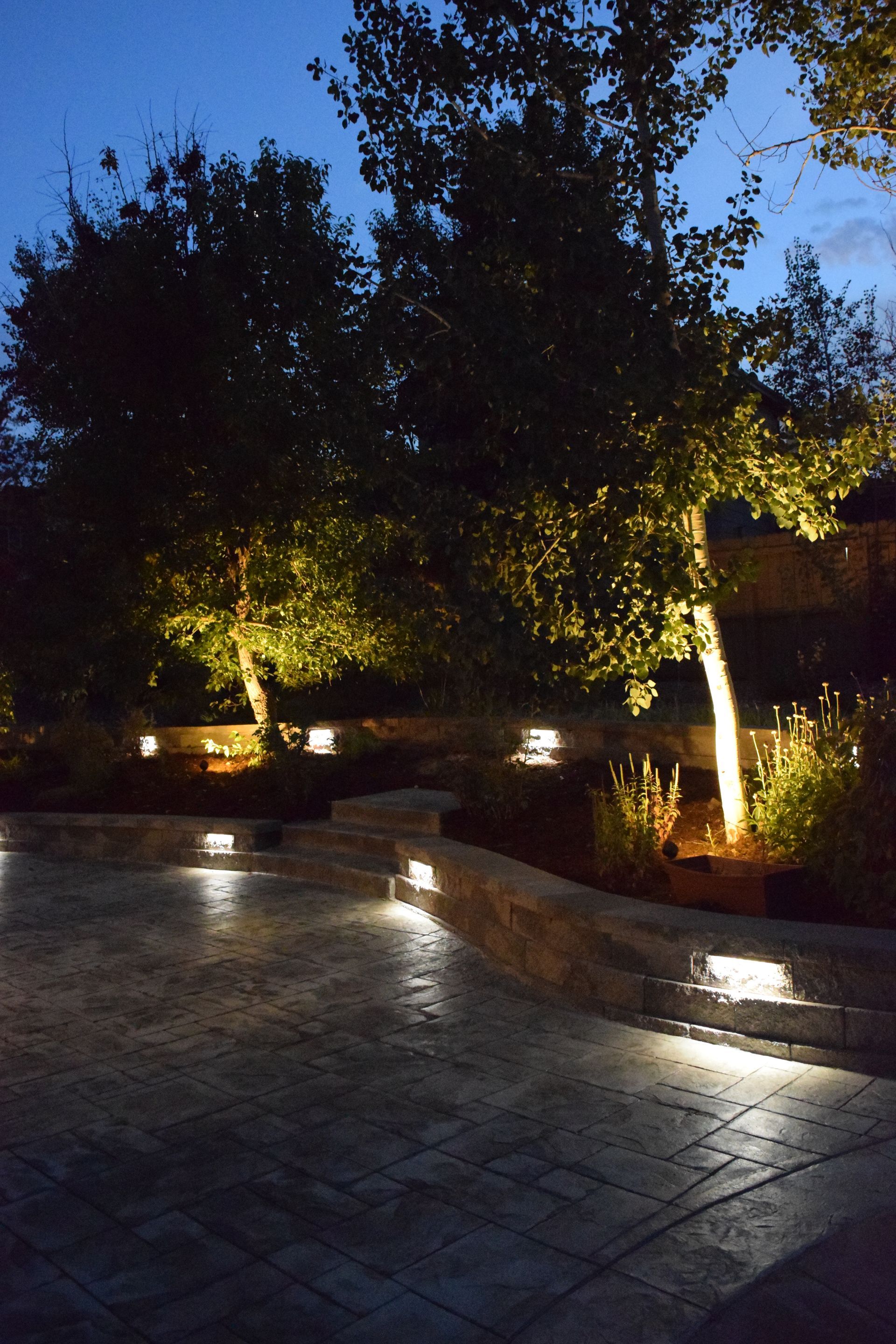 Nighttime outdoor scene with trees illuminated by spotlights, path lighting on a stone patio.