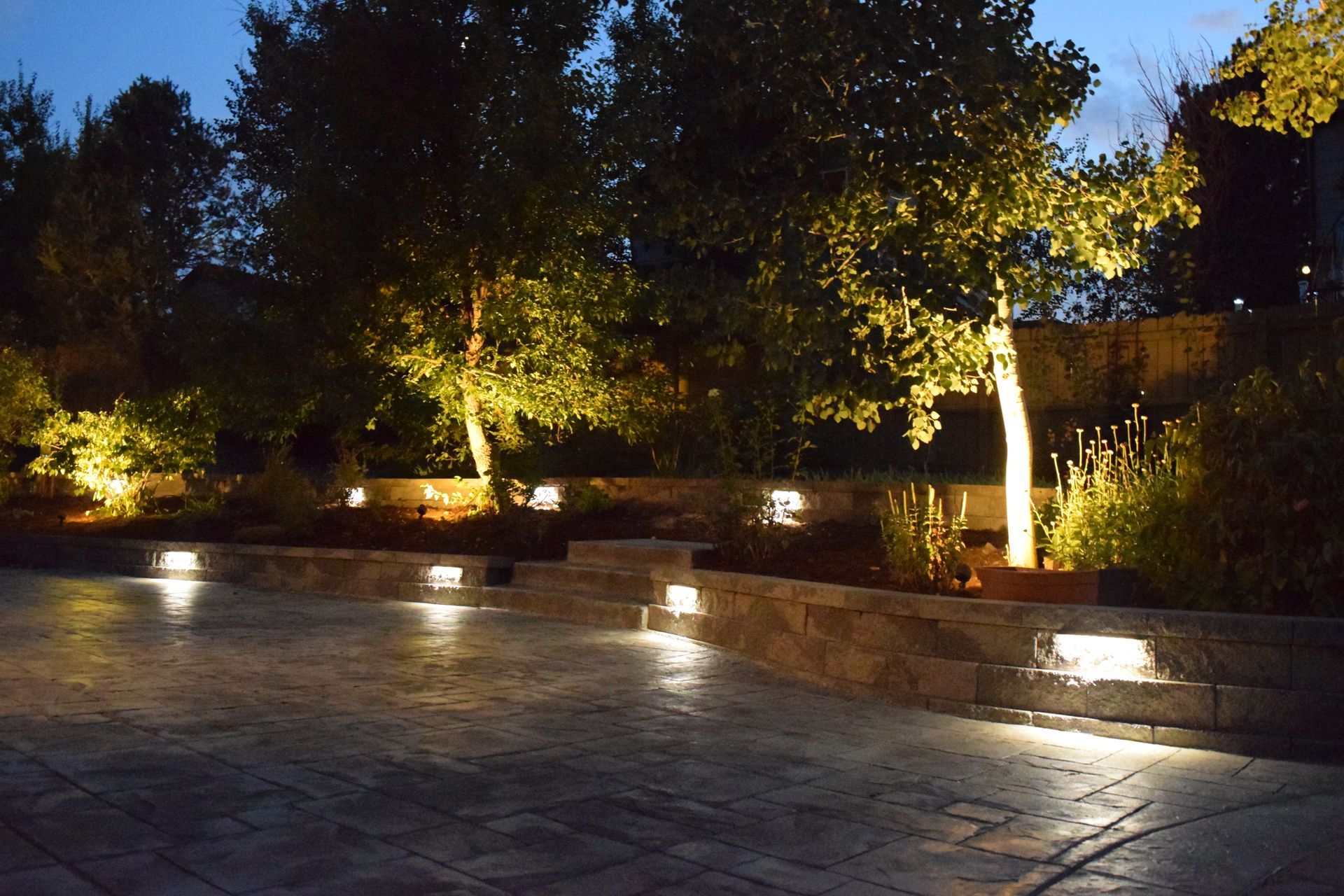 Nighttime shot of a lit-up backyard with trees, stone steps, and built-in lighting on the ground.