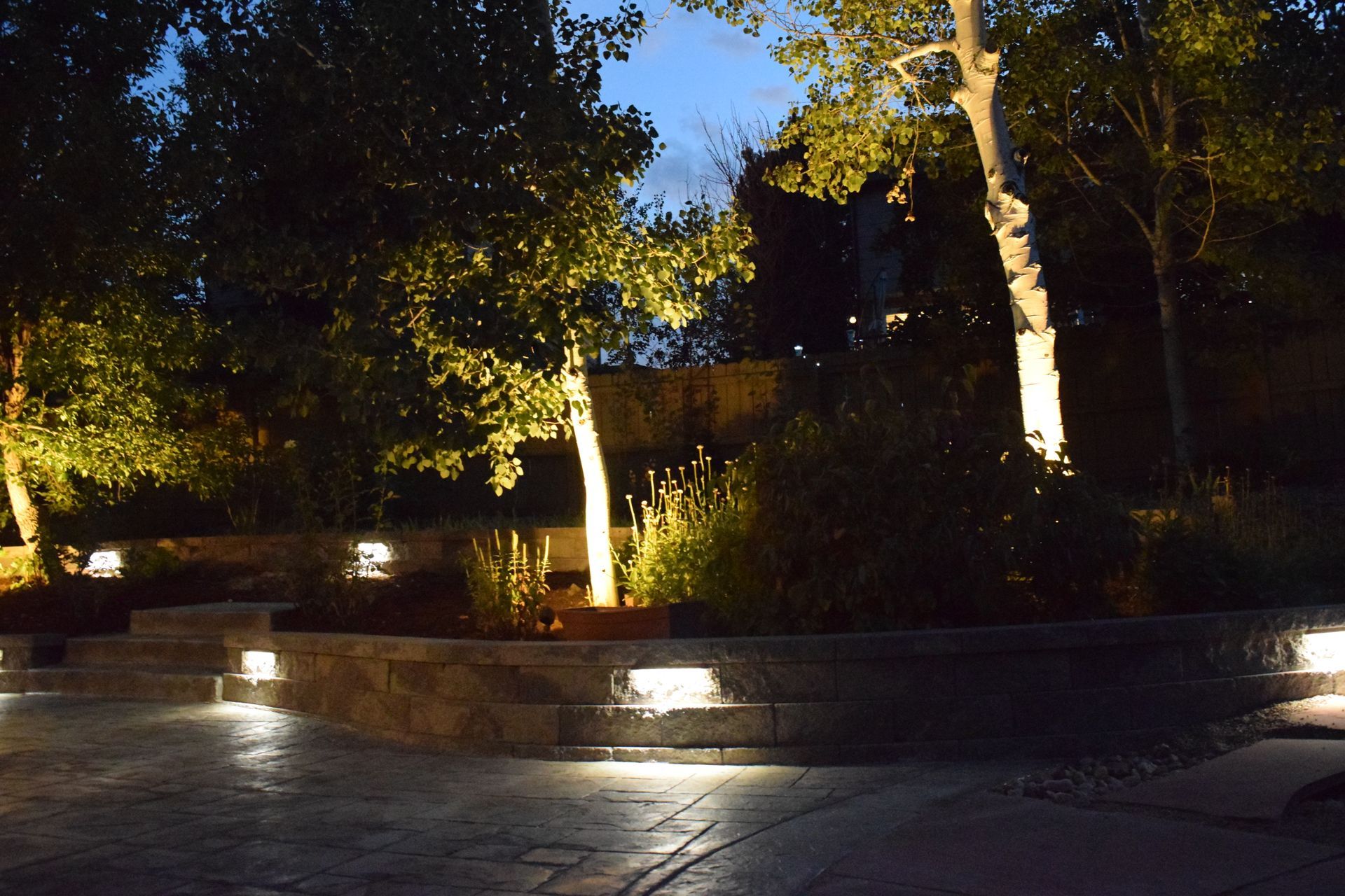 Night-lit backyard with trees and stone walls; spotlights illuminate the foliage and pathways.