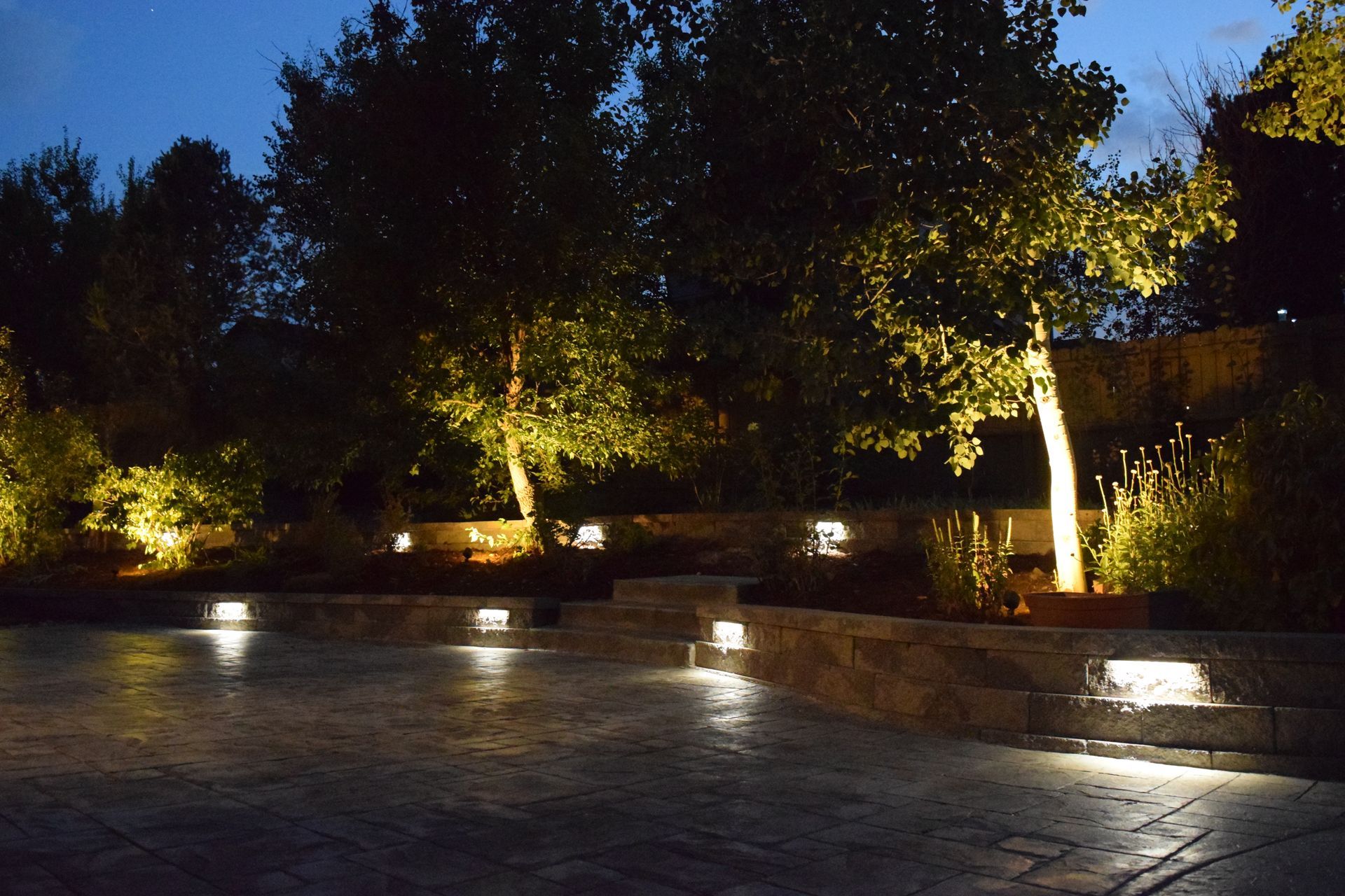 Nighttime outdoor scene with trees illuminated, stone walls, and path lighting.