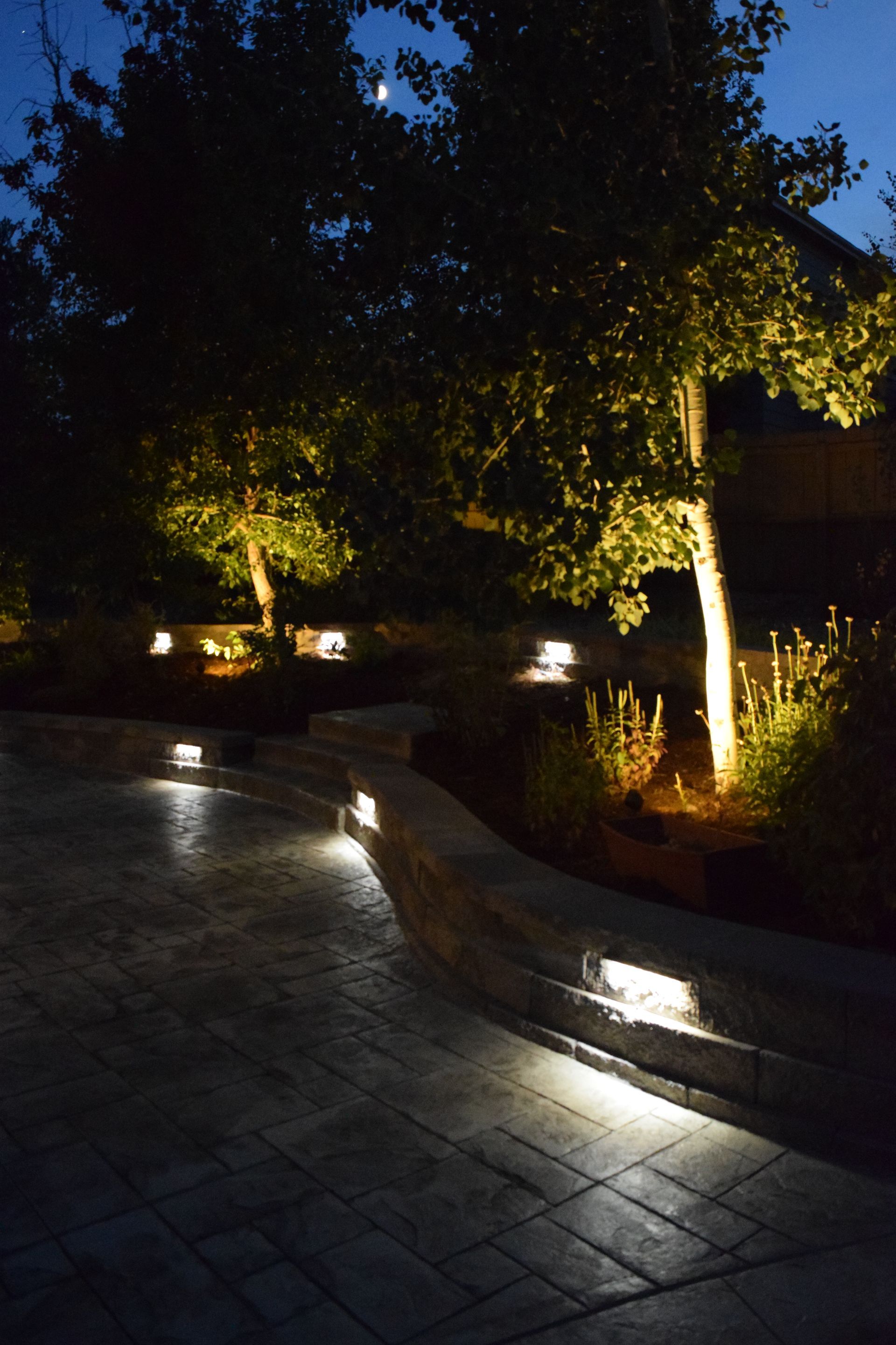 Nighttime view of a walkway illuminated by lights, leading past a stone wall and trees with upward-facing spotlights.