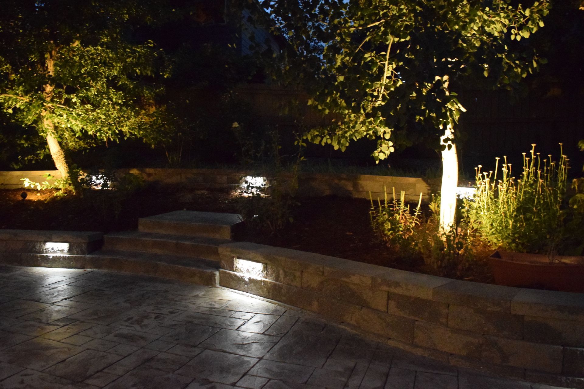 Nighttime landscape with illuminated trees, stone steps, and built-in lighting on a patio.