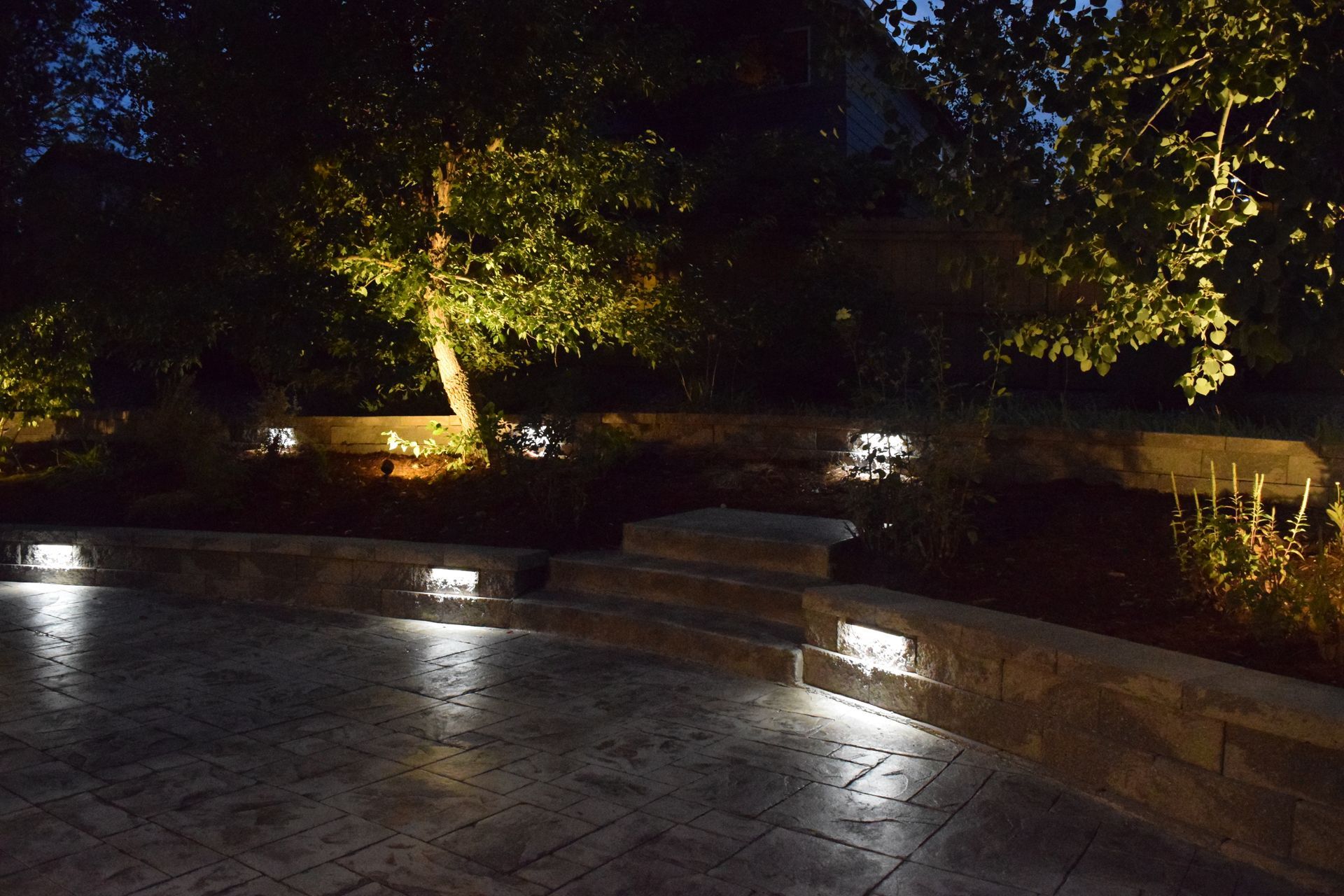 Nighttime backyard lit with pathway and tree lighting. Steps lead up to a garden, with glowing lights.