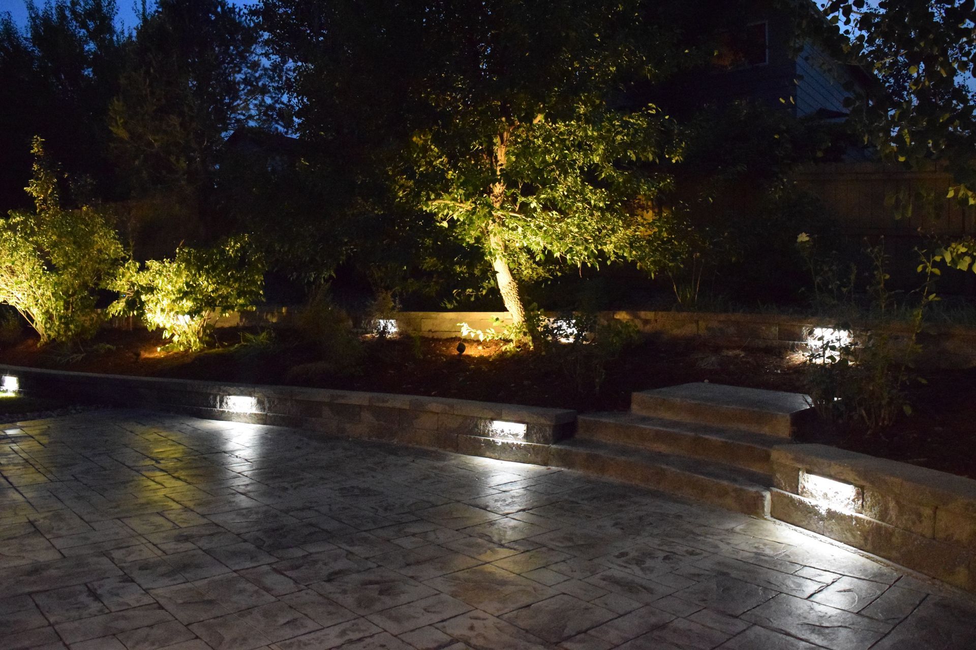 Nighttime landscape with illuminated trees, garden bed, and patio.