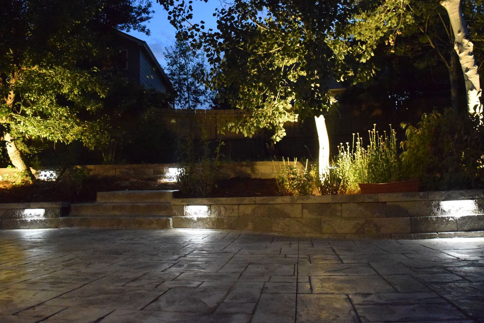 Lit outdoor landscape at night with steps, trees, and ground lighting.