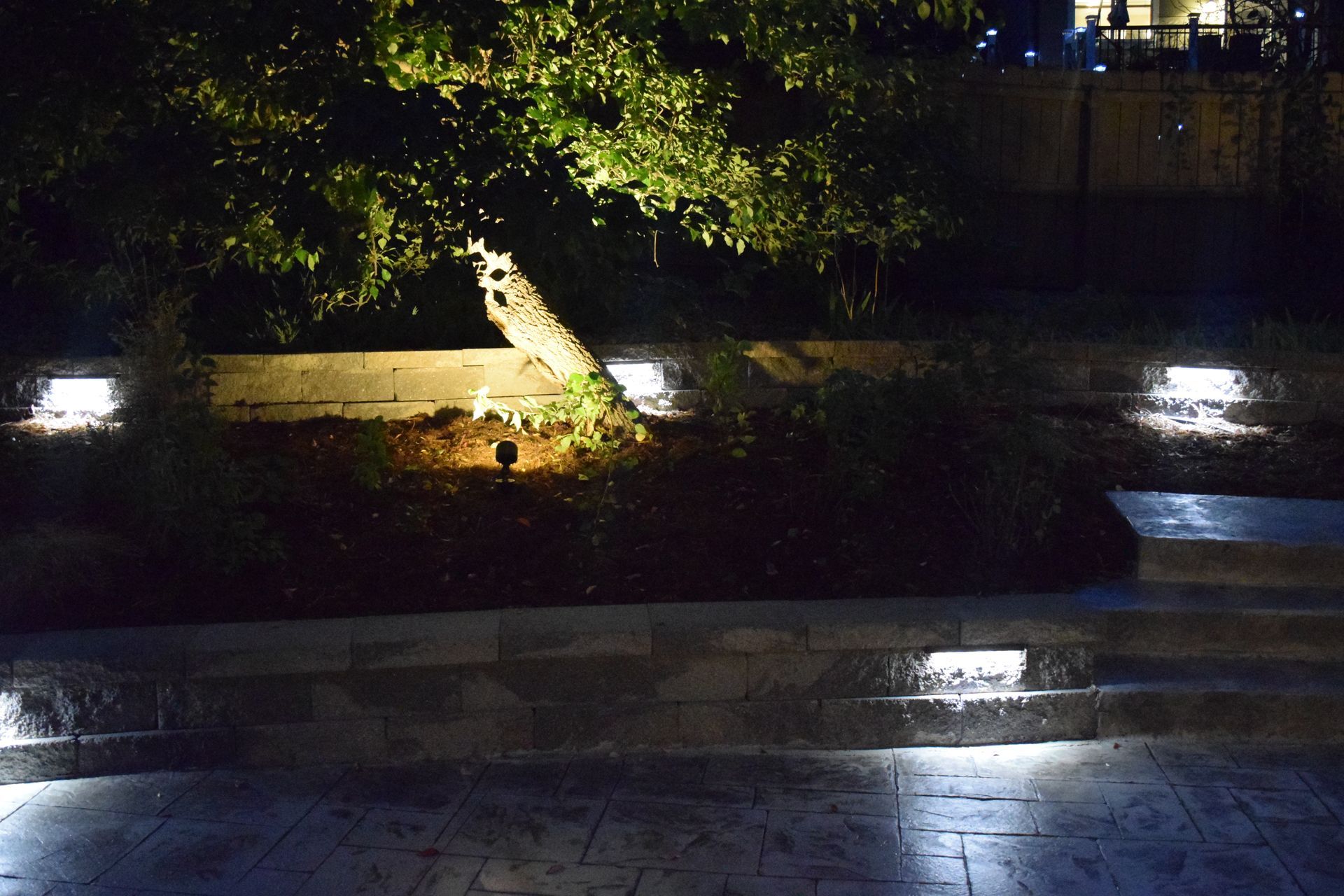 Nighttime outdoor scene with illuminated steps, landscape, and tree.