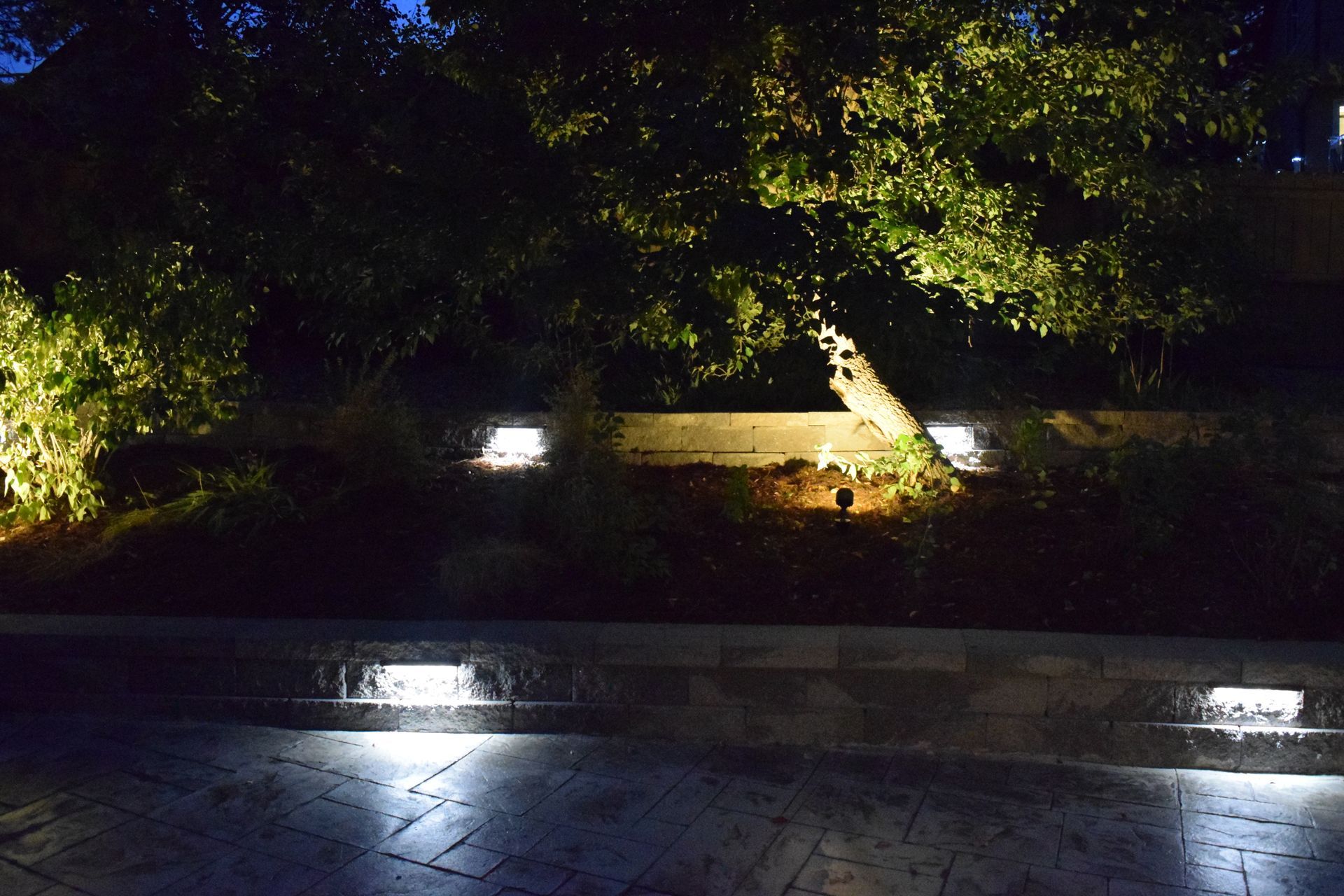 Nighttime illuminated landscape: stone path, ground lights, bushes, and a tree with overhead lighting.