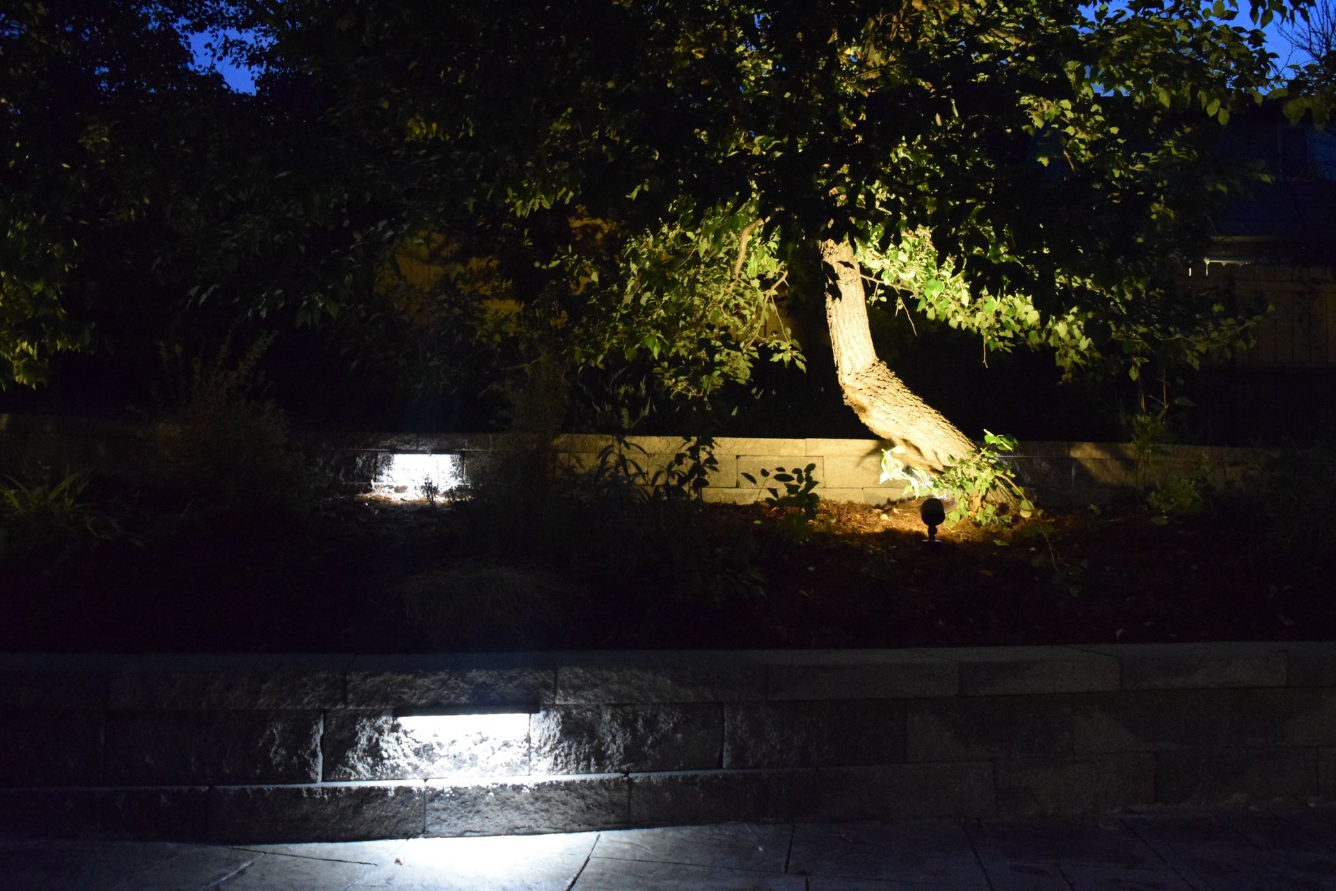 Night scene: Illuminated tree and stone steps with integrated lights, highlighting garden.