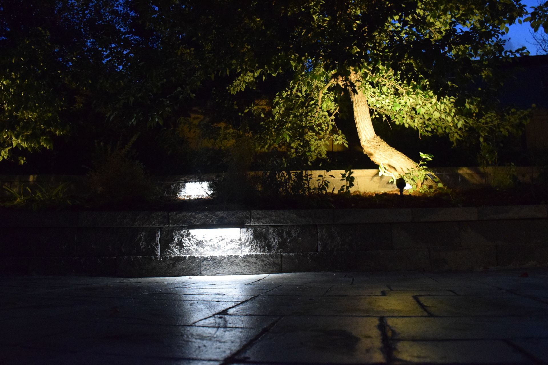 Nighttime outdoor scene: spotlights illuminating stone wall, tree with leaves, and ground.